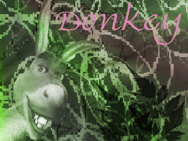 Donkey